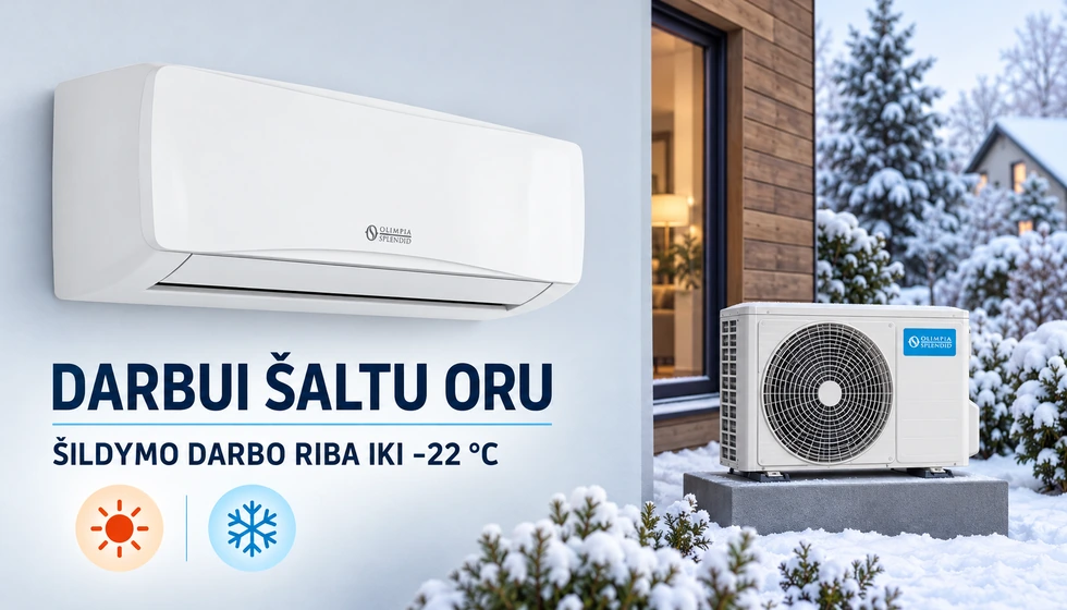 Alyas Pro E Inverter 9 – Šildymas šaltu oru